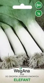 wegana-por-elefant-1g