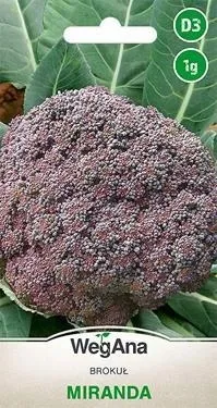wegana-brokul-miranda-1g