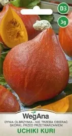 wegana-dynia-olbrzymia-uchiki-kuri-3g