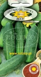 roltico-ogorek-ela-f1-5g