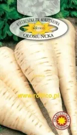 roltico-pietruszka-olomuncka-5g