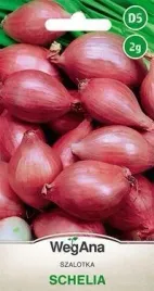 wegana-szalotka-schelia-2g