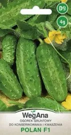 wegana-ogorek-polan-mieszaniec-f1-4g-konserwowy