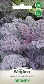 wegana-jarmuz-rednex-2g