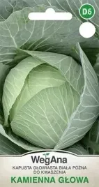 wegana-kapusta-glowiasta-biala-kamienna-glowa-3g