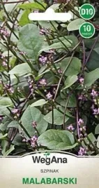 wegana-szpinak-malabarski-10-nasion