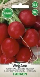 wegana-rzodkiewka-faraon-10g