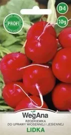 wegana-rzodkiewka-lidka-10g