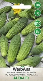 wegana-ogorek-altaj-mieszaniec-f1-3g-konserwowy