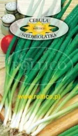 roltico-cebula-siedmiolatka-2g