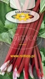 roltico-rabarbar-victoria-1g