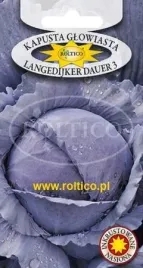 roltico-kapusta-glowiasta-czerwona-langedijker-dauer-3