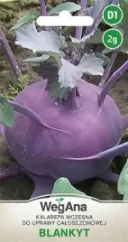 wegana-kalarepa-blankyt-2g