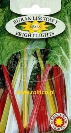 roltico-burak-lisciowy-bright-lights-1g