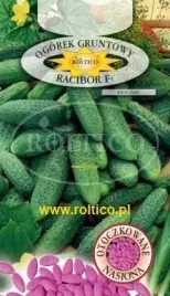 roltico-ogorek-racibor-f1-50-nasion-otoczkowane