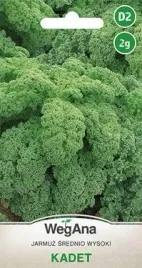 wegana-jarmuz-kadet-2g