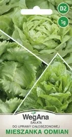 wegana-salata-mieszanka-odmian-zielonych-1g