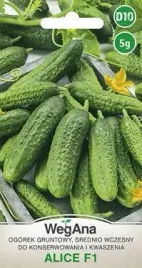 wegana-ogorek-alice-mieszaniec-f1-5g-konserwowy