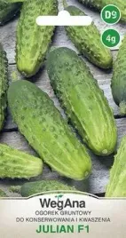 wegana-ogorek-julian-mieszaniec-f1-4g-konserwowy