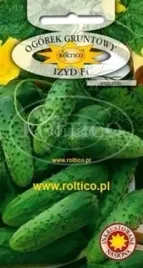 roltico-ogorek-izyd-mieszaniec-f1-konserwowy
