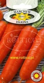 roltico-marchew-jadalna-darina-5g