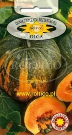 roltico-dynia-zwyczajna-bezlupinowa-olga-3g