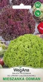 wegana-salata-maslowa-fryzowana-mieszanka-odmian-1g