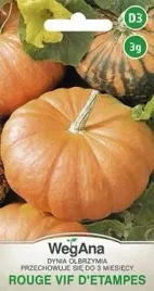 wegana-dynia-olbrzymia-rouge-vif-d-etampes-3g