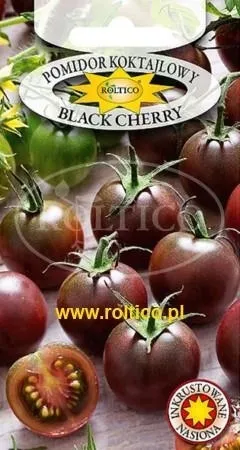 roltico-pomidor-black-cherry-02g