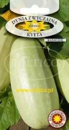 roltico-dynia-zwyczajna-kveta-2g