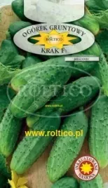 roltico-ogorek-krak-f1-5g