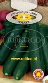 roltico-dynia-zwyczajna-cukinia-soraya-2g