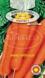 roltico-marchew-jadalna-nantes-5-fantazja-15-g