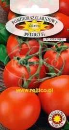 roltico-pomidor-pedro-f1-01g