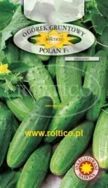 roltico-ogorek-polan-f1-5g