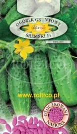 roltico-ogorek-sremski-f1-50-nasion-otoczkowane