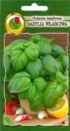 pnos-bazylia-wlasciwa-zielona-1g