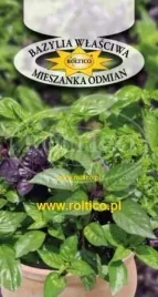 roltico-bazylia-wlasciwa-mix-odmian-05-g
