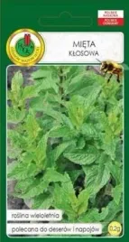 pnos-mieta-klosowa-02-g