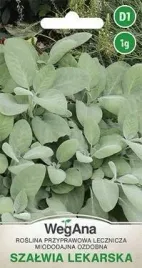 wegana-szalwia-salvia-officinalis-1g