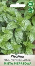 wegana-mieta-pieprzowa-01g