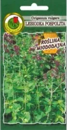 pnos-oregano-lebiodka-pospolita-02g