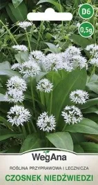 wegana-czosnek-niedzwiedzi-05g