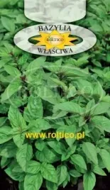roltico-bazylia-wlasciwa-1g