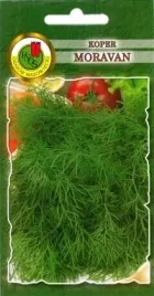 pnos-koper-moravan-5g