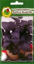 pnos-bazylia-wlasciwa-czerwona-03g