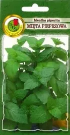 pnos-mieta-pieprzowa-02g