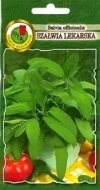 pnos-szalwia-lekarska-1g