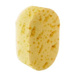 inter-vion-gabka-do-kapieli-i-masazu-zolta