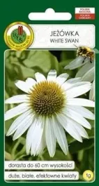 pnos-jezowka-biala-white-swan-1-g